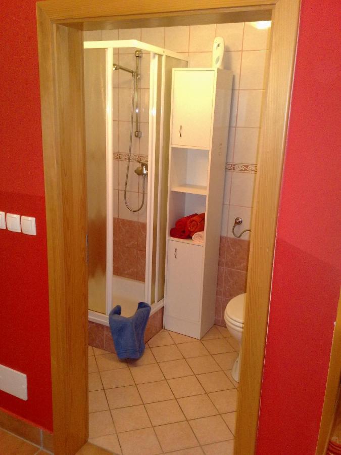 Beli Zajec Apartment Mozirje