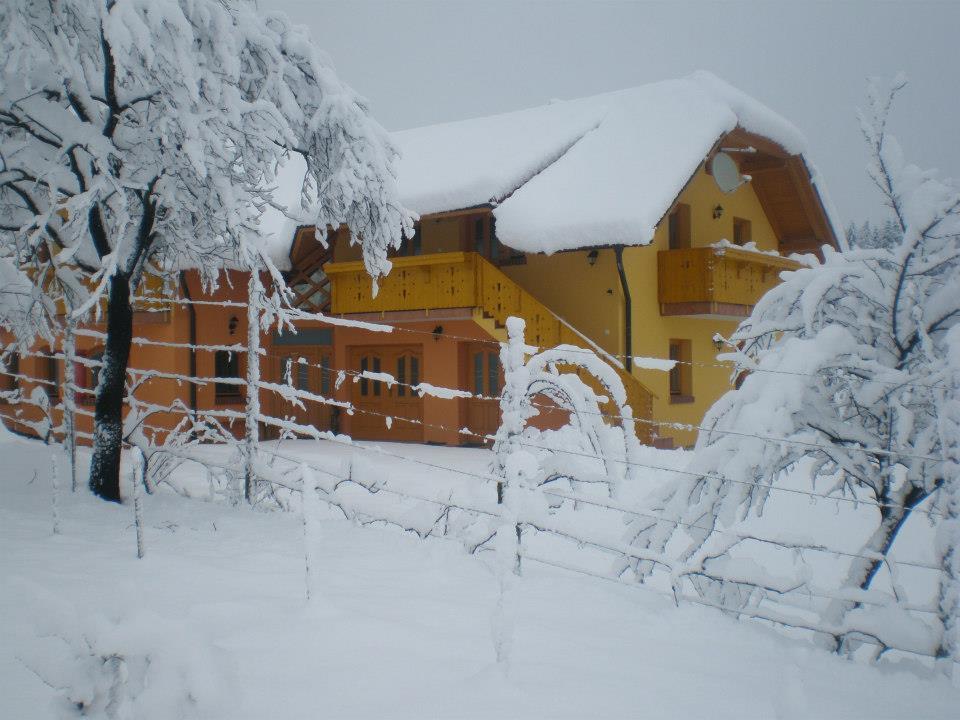 Apartment Beli Zajec *