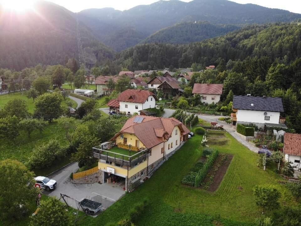 Beli Zajec *
